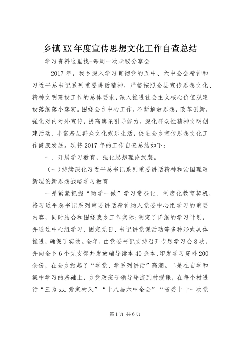 乡镇某年度宣传思想文化工作自查总结.docx