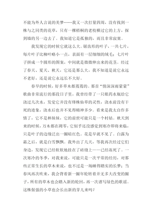 小学语文六年级下册.docx