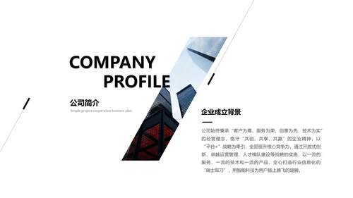 黑灰商业计划项目简介PPT模板
