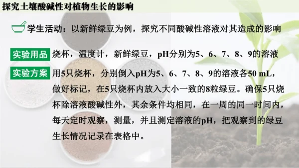 跨学科实践活动9  探究土壤酸碱性对植物生长的影响课件(共33张PPT)