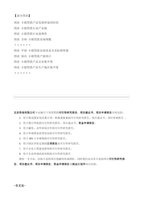 小额贷款项目投资调研及前景预测报告模板.docx