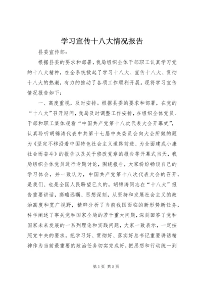 学习宣传十八大情况报告 (2).docx