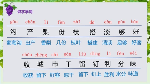 第11课《葡萄沟》课件