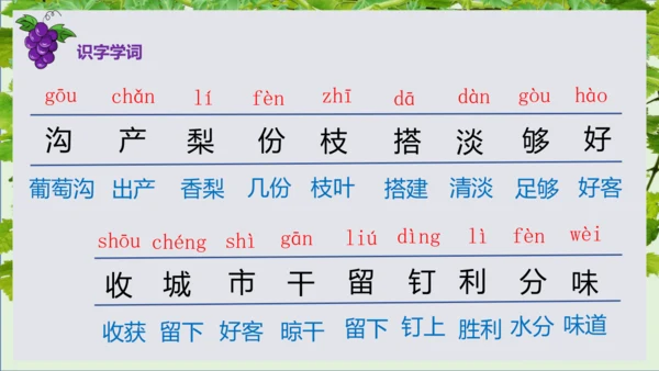 第11课《葡萄沟》课件