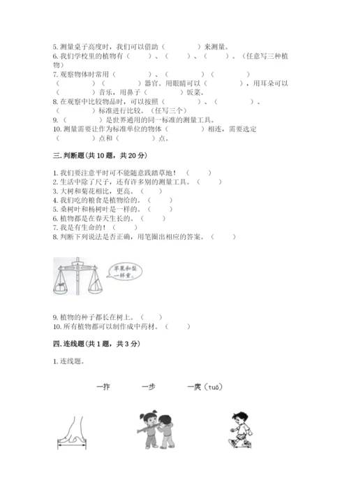 教科版一年级上册科学期末测试卷必考题.docx