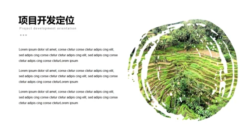 美丽乡村旅游项目乡村旅游通用PPT模板