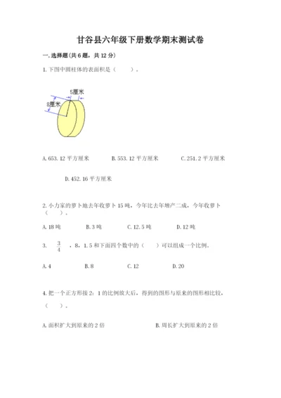 甘谷县六年级下册数学期末测试卷精品附答案.docx