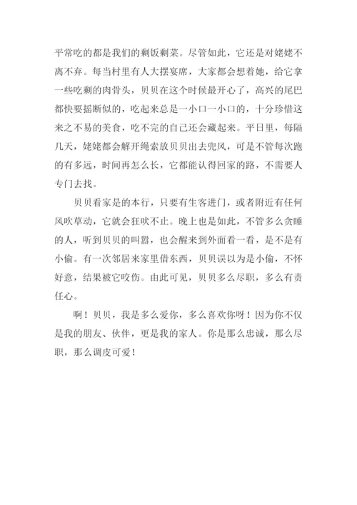 我爱小狗贝贝作文900字.docx