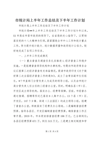 市统计局上半年工作总结及下半年工作计划 (4).docx