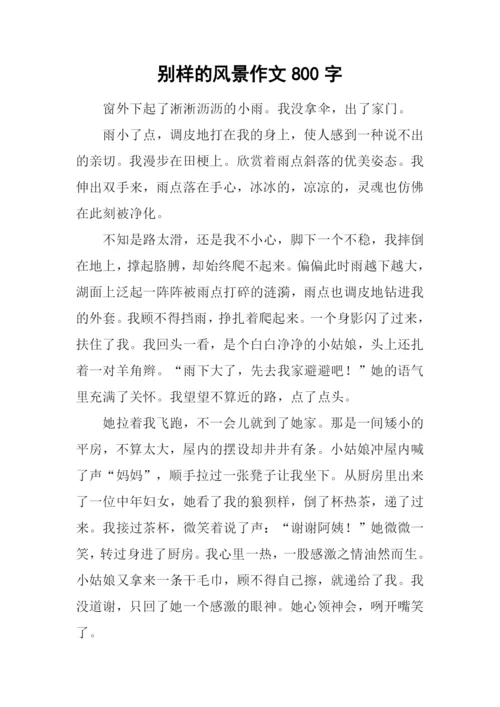 别样的风景作文800字-1.docx