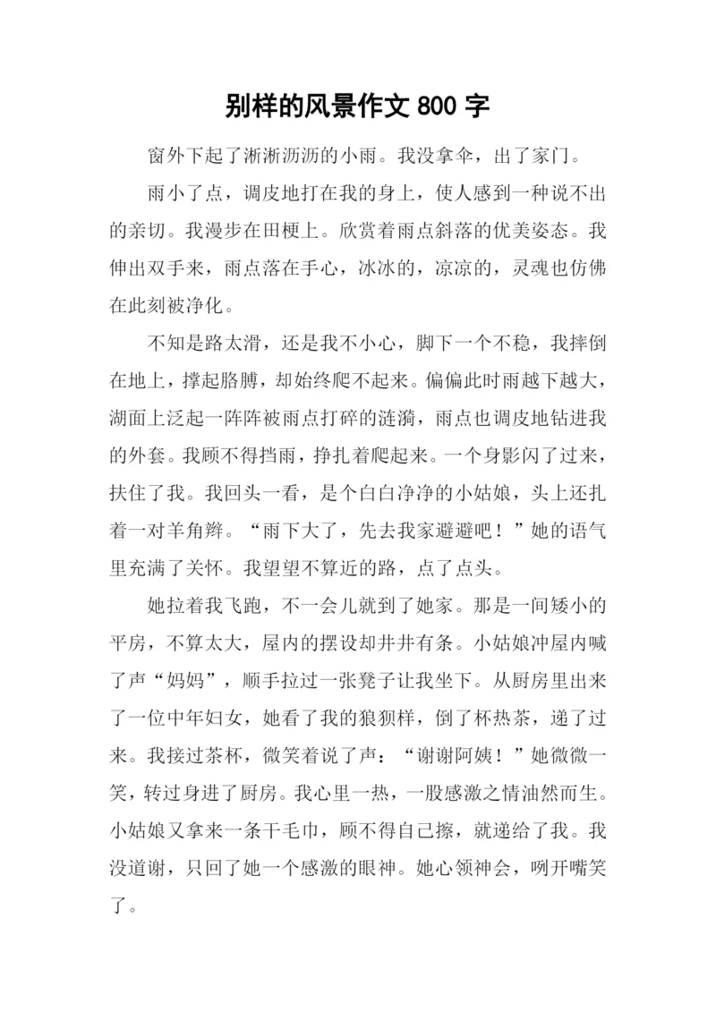 别样的风景作文800字-1.docx