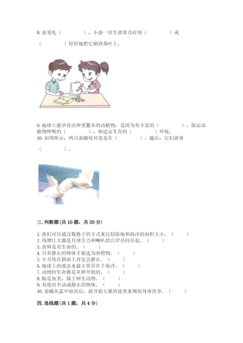 教科版三年级下册科学期末测试卷（夺冠系列）.docx