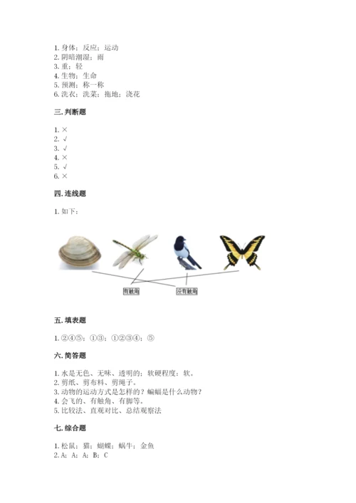 教科版一年级下册科学期末测试卷【能力提升】.docx