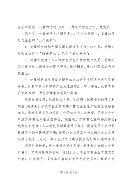 乡非公有制经济党建工作总结.docx