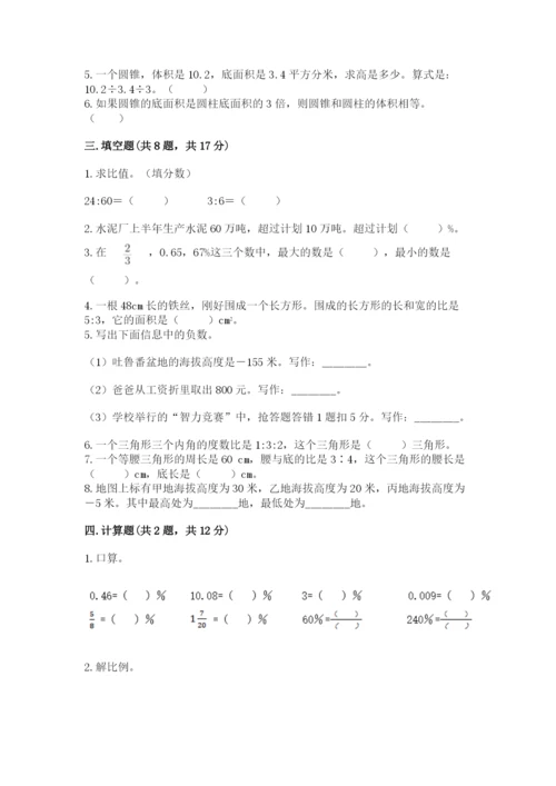 北塔区六年级下册数学期末测试卷a4版.docx