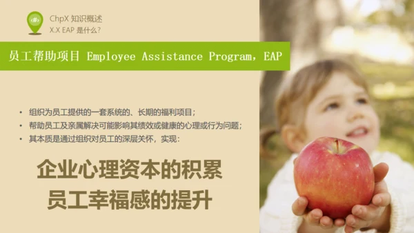 人力资源部内训EAP实施浅控通用PPT课件