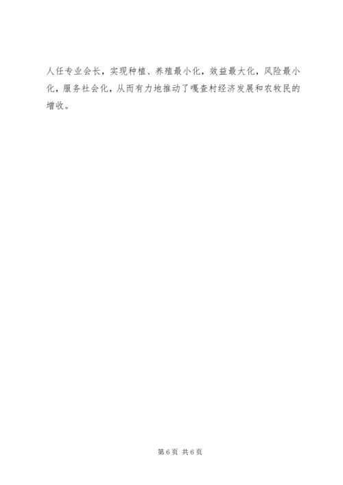 旗实施“党支部专业合作社”工作模式典型材料.docx