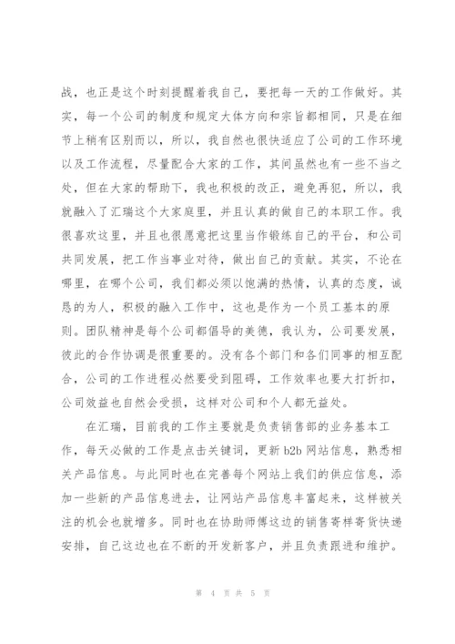 业务员个人试用期转正工作总结.docx