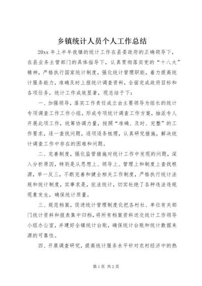 乡镇统计人员个人工作总结.docx