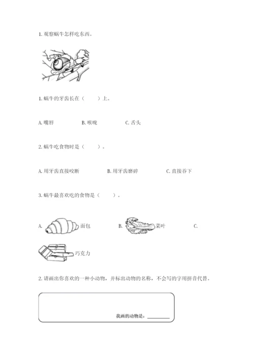 教科版一年级下册科学期末测试卷含完整答案（夺冠）.docx