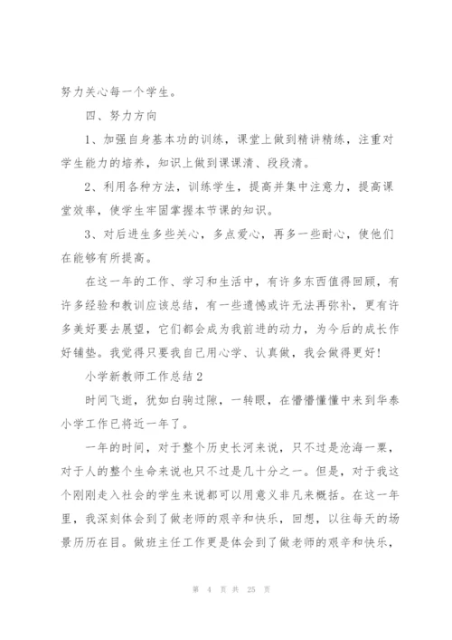 小学新教师工作总结范文5篇.docx