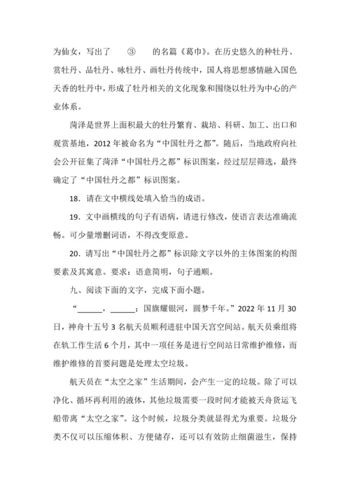 高考语文一轮复习之语言文字运用题30种题型归纳.docx