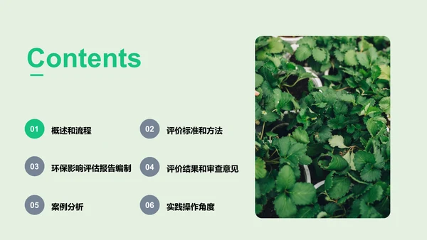 绿色炫酷环境卫生影响评估PPT模板