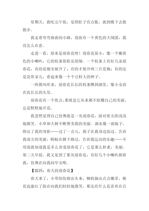 春天的迎春花作文400字.docx
