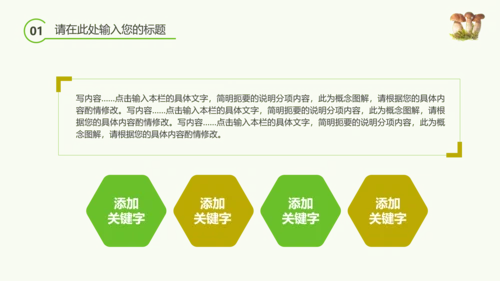 绿色植物野生菌类生长动态ppt
