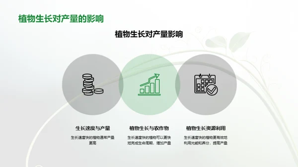 解析植物生长速度变化对农作物产量的影响