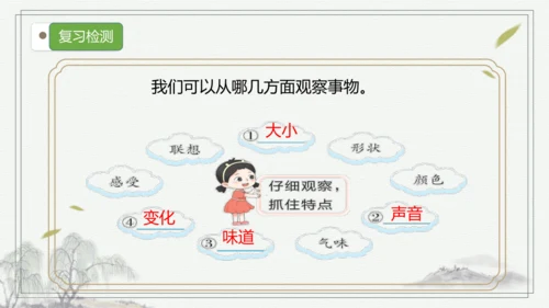 部编版语文三年级上册第五单元复习 课件