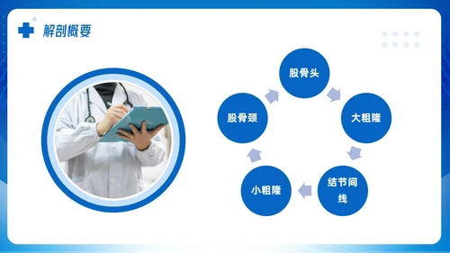 蓝色简约股骨颈骨折课件PPT模板宣传PPT动态PPT