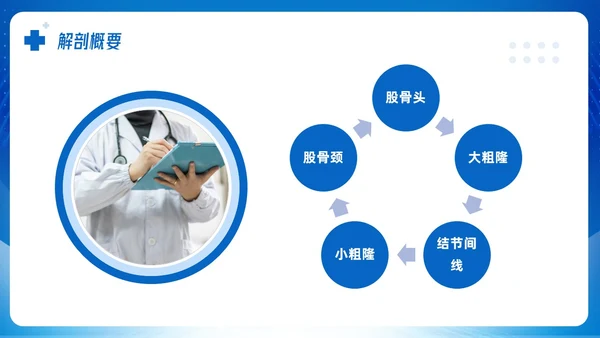 蓝色简约股骨颈骨折课件PPT模板宣传PPT动态PPT