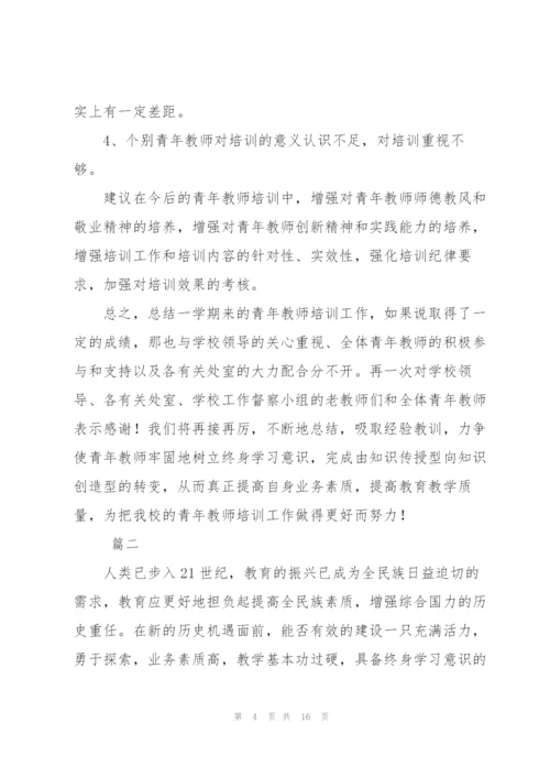 青年教师培训个人总结三篇.docx