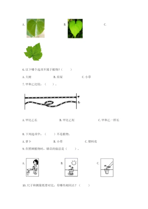 教科版一年级上册科学期末测试卷精品（名师系列）.docx