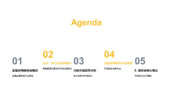 探索金属丝绳未来