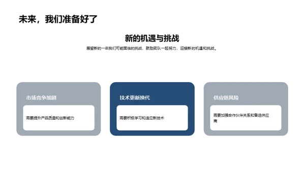 202X年度总结与展望