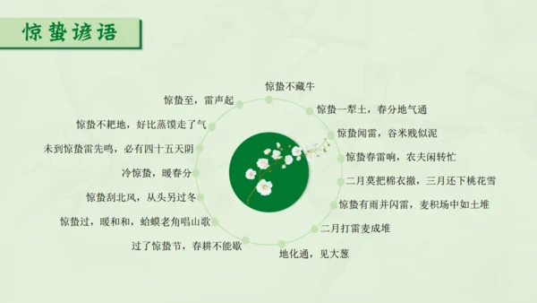 惊蛰淡绿色二十四节气实践教学课件通用PPT模板