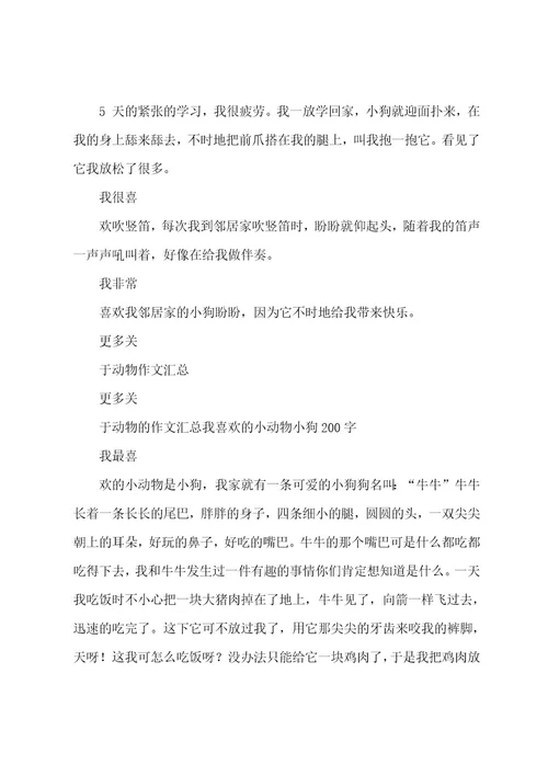 我喜欢的小动物(600字)作文