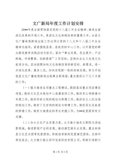 文广新局年度工作计划安排.docx