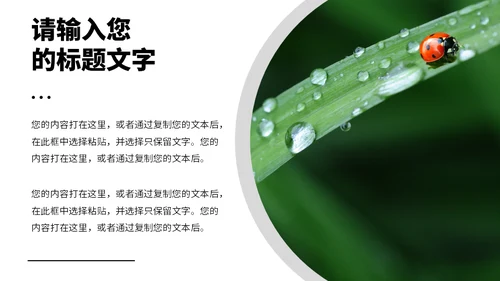 绿色的田野春天生态农业通用PPT模板