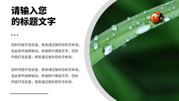 绿色的田野春天生态农业通用PPT模板