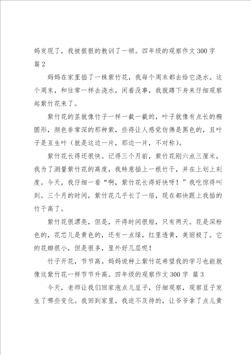 四年级的观察作文300字集合六篇