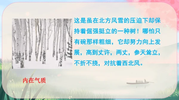15《白杨礼赞》课件