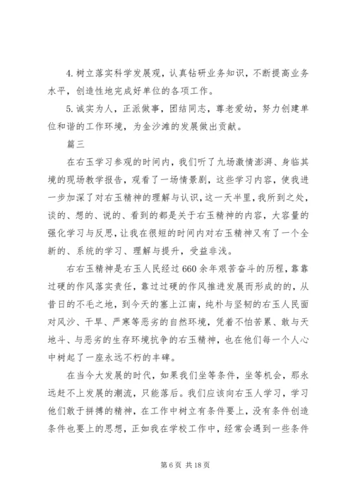 学习右玉精神心得体会精选6篇.docx