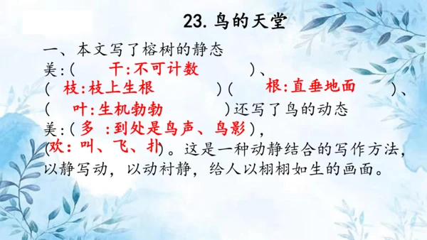 部编版五年级上册第七单元复习  课件