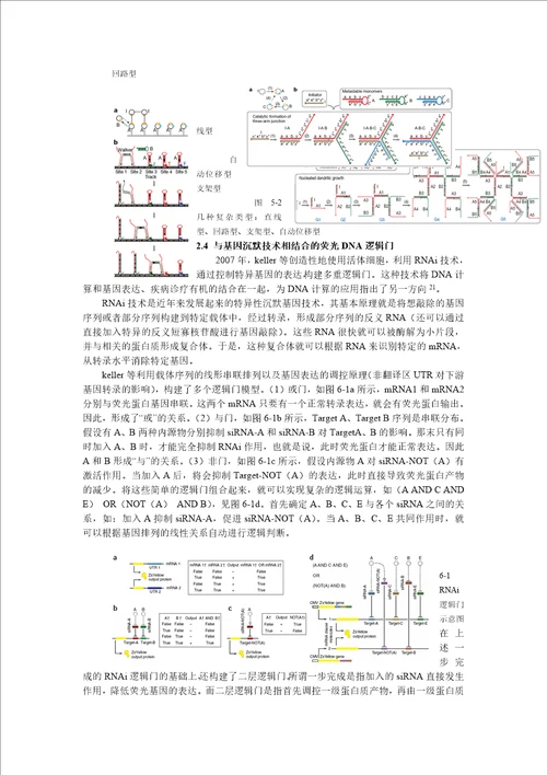 计算中的荧光技术应用及发展