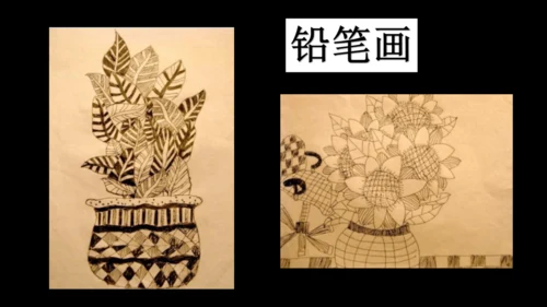 校园里的花（课件33页）-美术三年级上册人教版