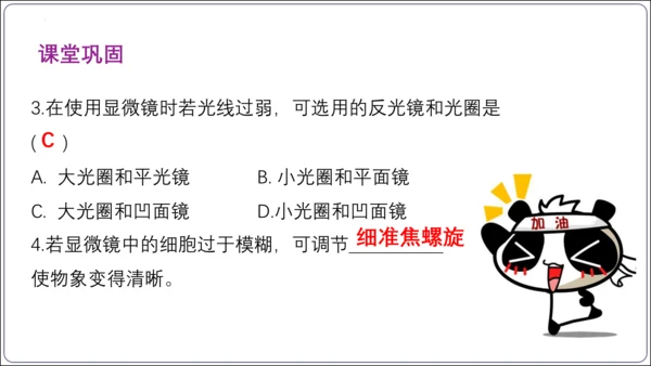 【2023秋人教七上生物期中复习考点梳理串讲+临考押题】第一章 细胞是生命活动的基本单位（串讲课件）