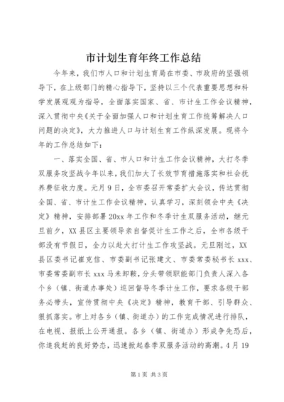 市计划生育年终工作总结.docx